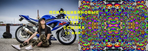 мдпв Алзамай