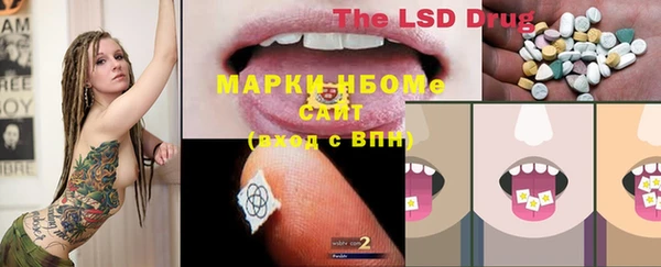 индика Покров