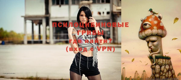 хмурый Алексеевка