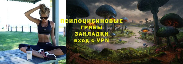 хмурый Алексеевка