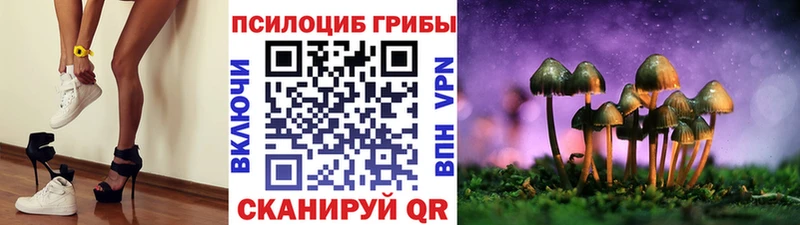 Псилоцибиновые грибы Magic Shrooms  Сафоново 