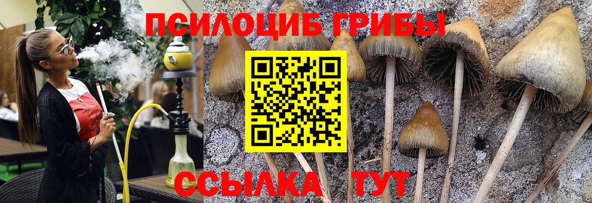 Галлюциногенные грибы Cubensis  Вход с VPN  Сафоново 